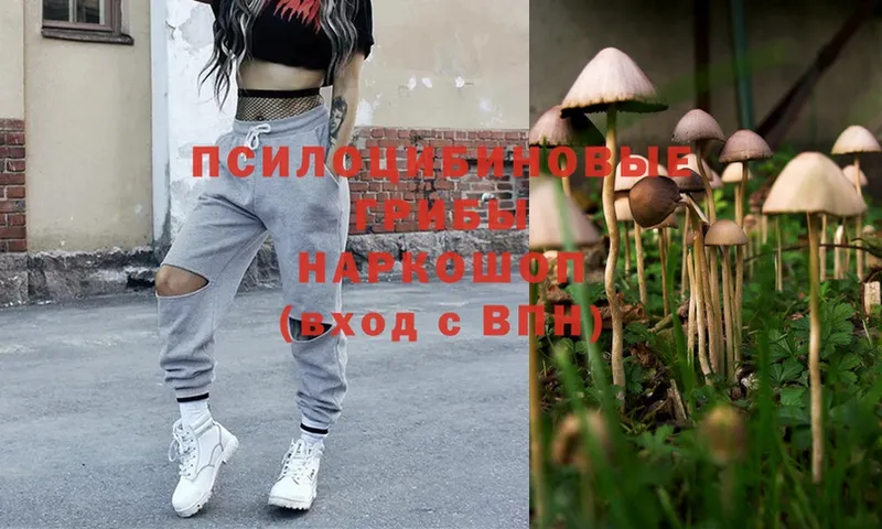 Галлюциногенные грибы Magic Shrooms  Анива 